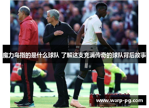 魔力鸟指的是什么球队 了解这支充满传奇的球队背后故事