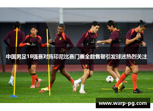 中国男足18强赛对阵印尼比赛门票全数售罄引发球迷热烈关注